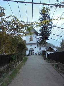 DSC03312.JPG